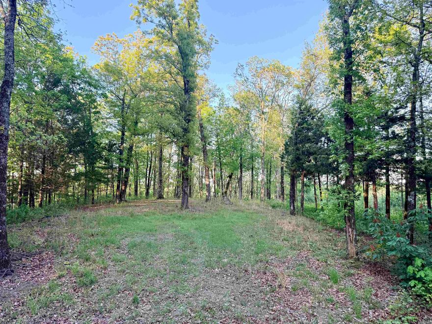 6 acres on a beautiful mountain with a view, paved county road! This tract has water and electric established. Health Dept septic permit on file for a 4 bedroom. No restrictions, mineral rights do not convey.