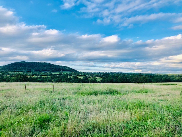 Prime farm land with highway frontage, fencing, cross fencing, ponds, barns, hay fields and south Sylamore Creek running through the property. 385 acres for cows, horses and possibly build your dream home on the property. Only about 20 min from Mtn. View