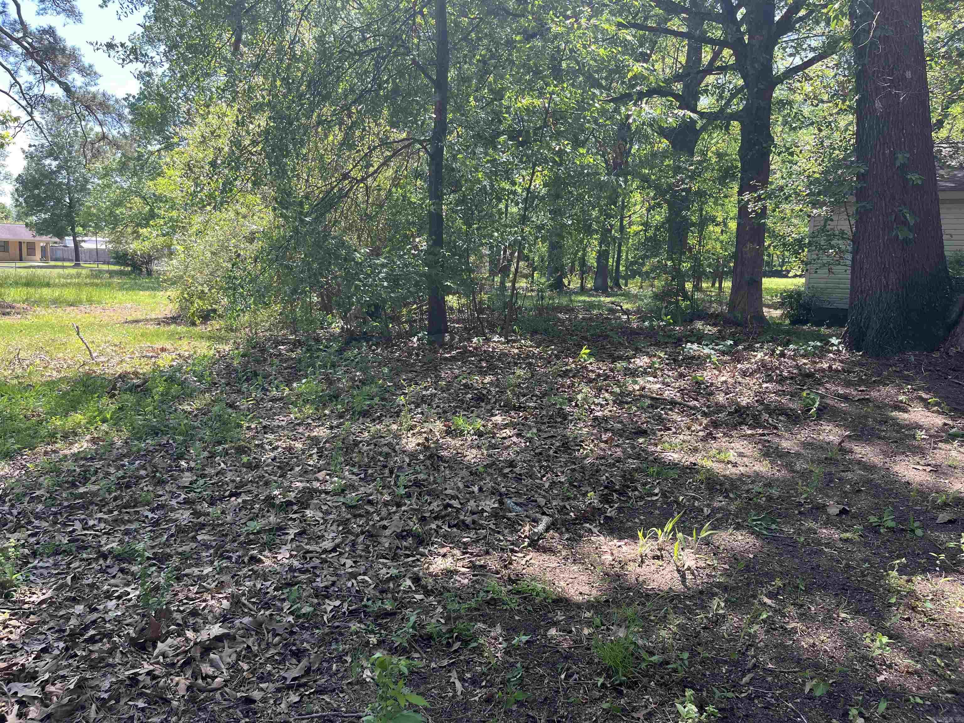 JAXON TERRACE - Residential