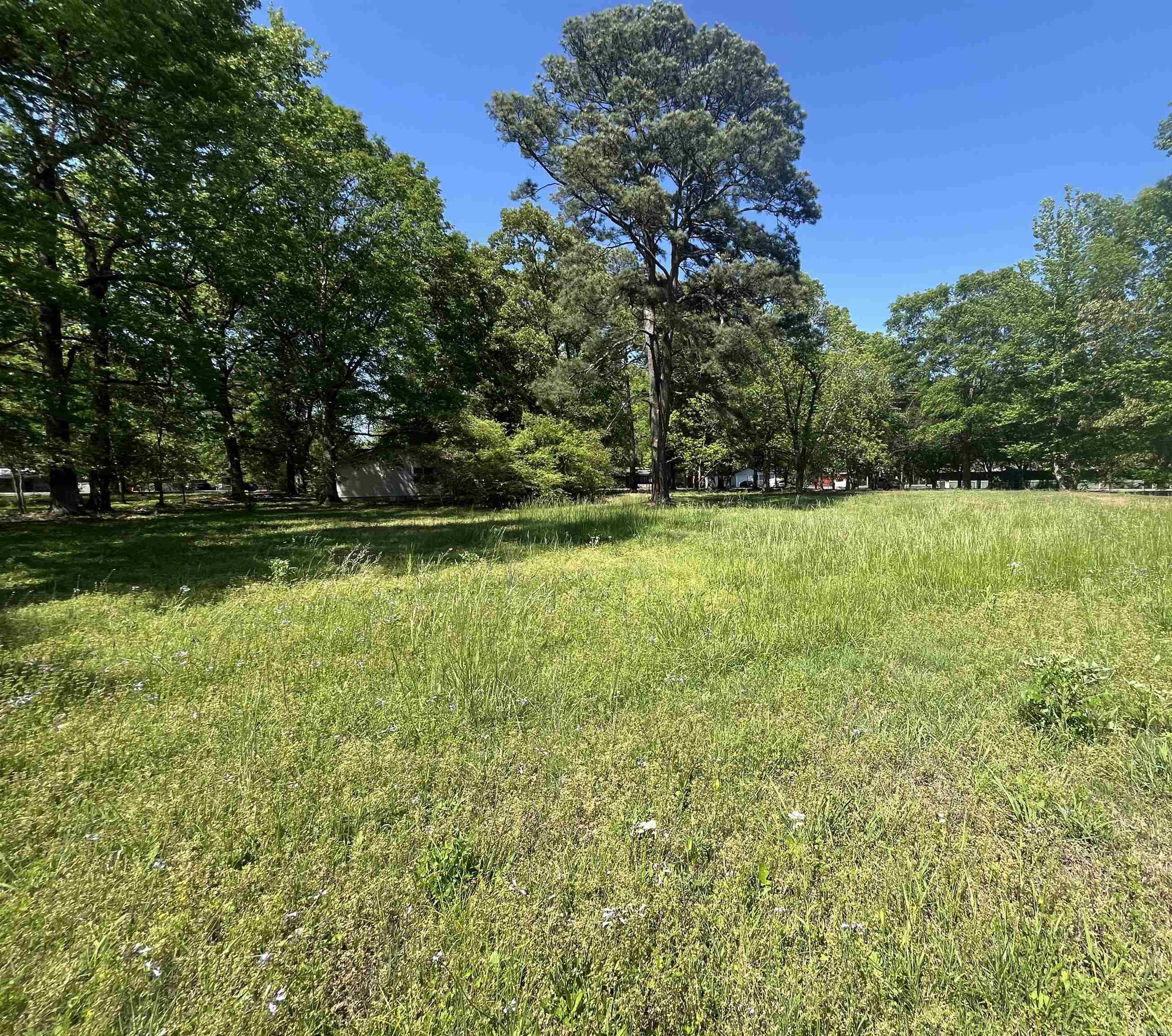 JAXON TERRACE - Residential