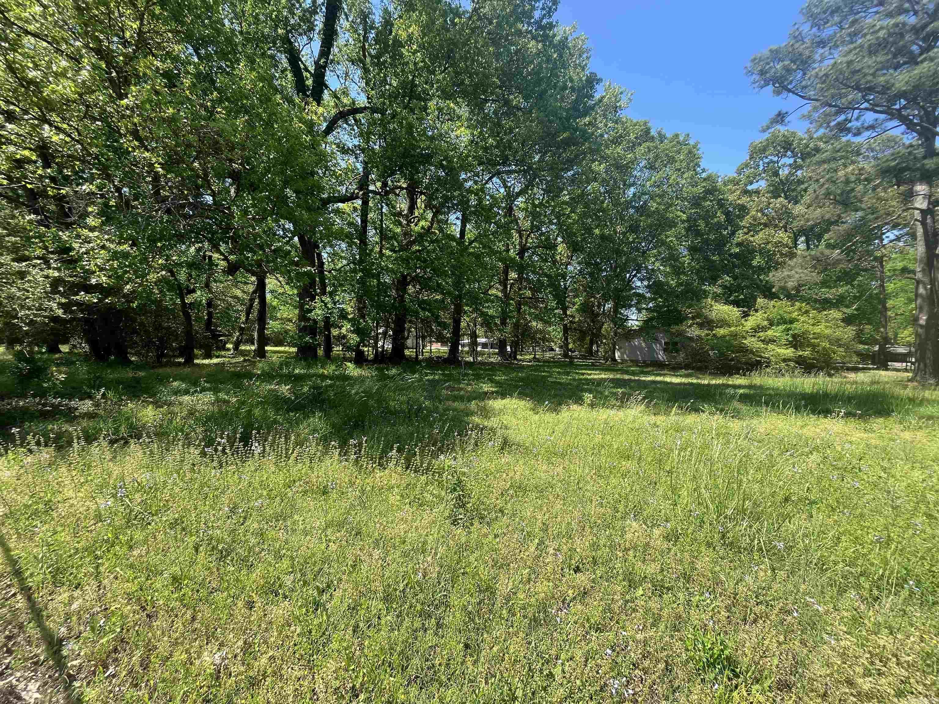 JAXON TERRACE - Residential