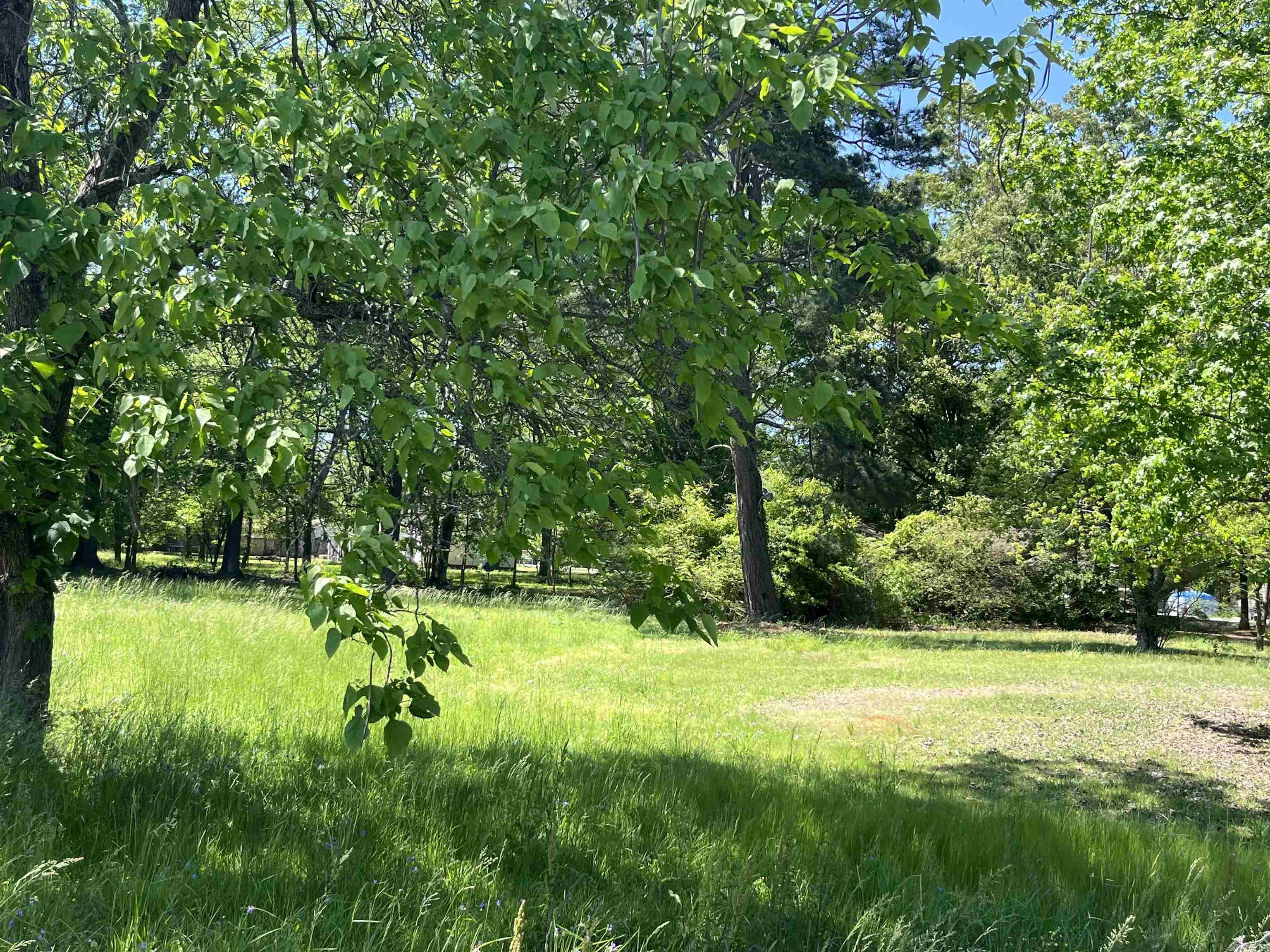 JAXON TERRACE - Residential