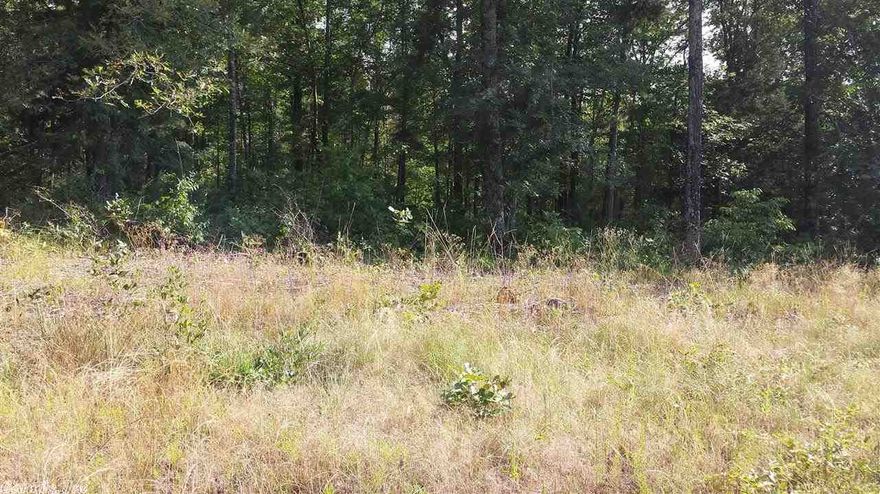 MINERAL RIGHTS CONVEY, Just over 1 acres,  lot to build your new home in most desirable Mountain Aire Subdivision. Fairly level, pretty tree covered lot ready for you to pick you building site. Already perked for 3 bedroom. Utilities at street.