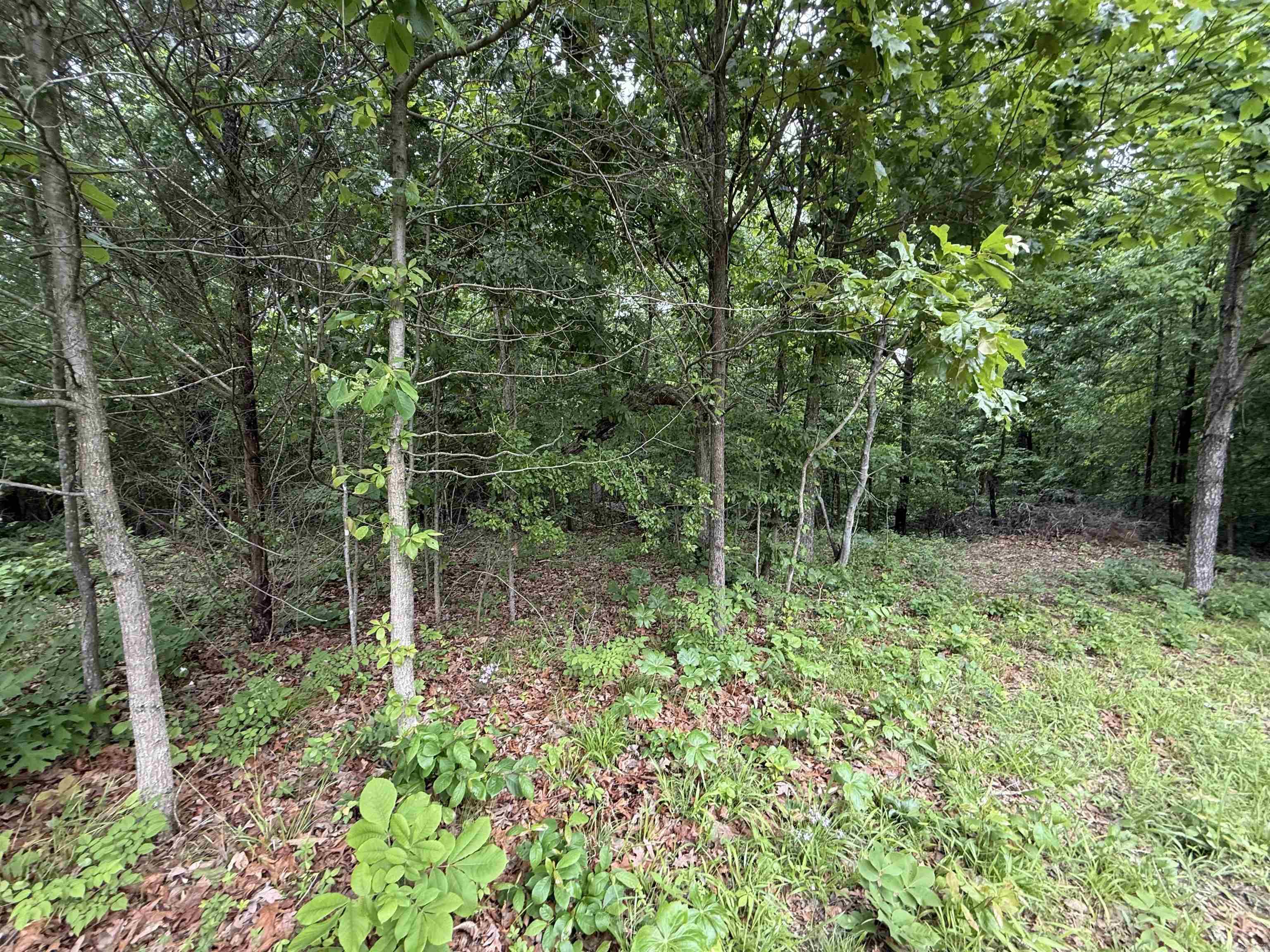 Not in Subdivision - Land