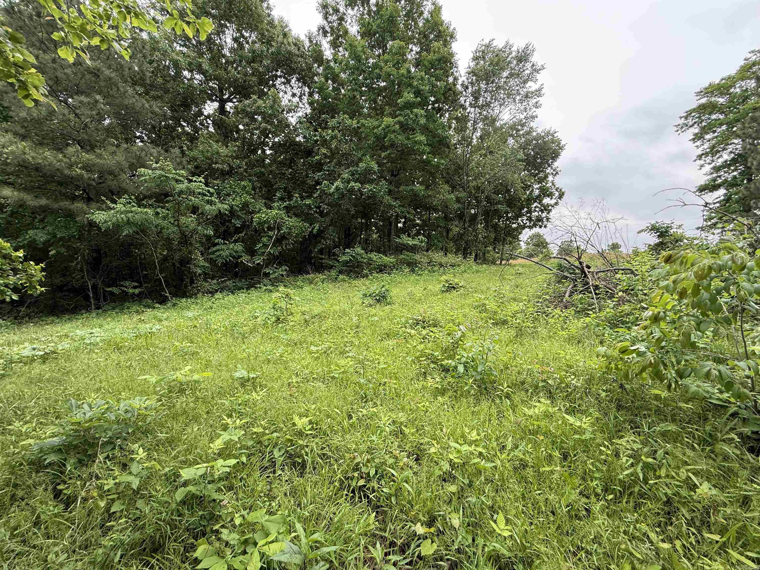 Not in Subdivision - Land