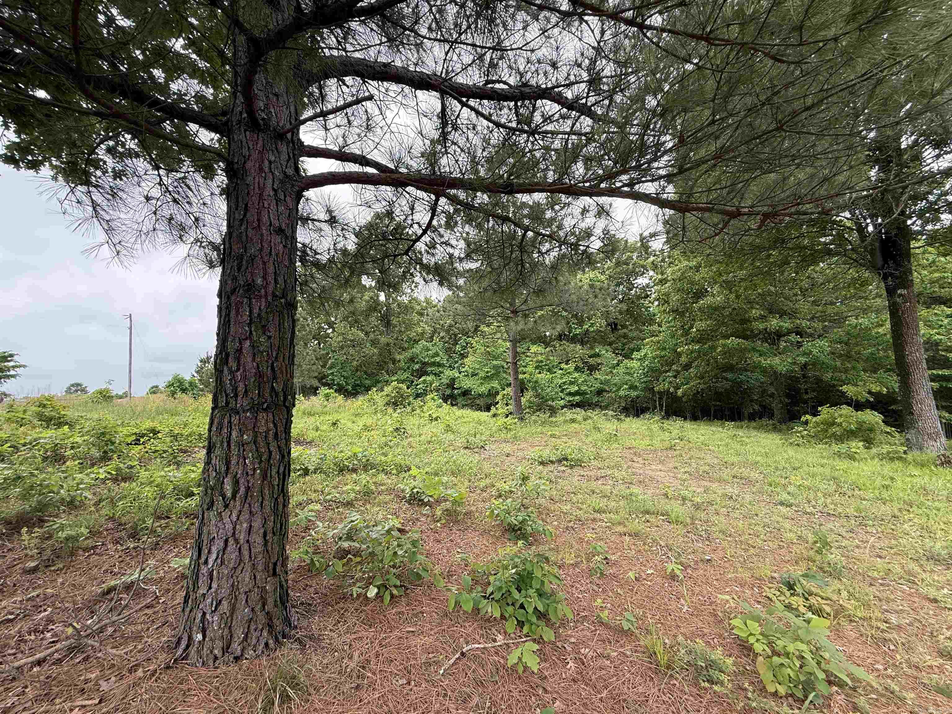 Not in Subdivision - Land