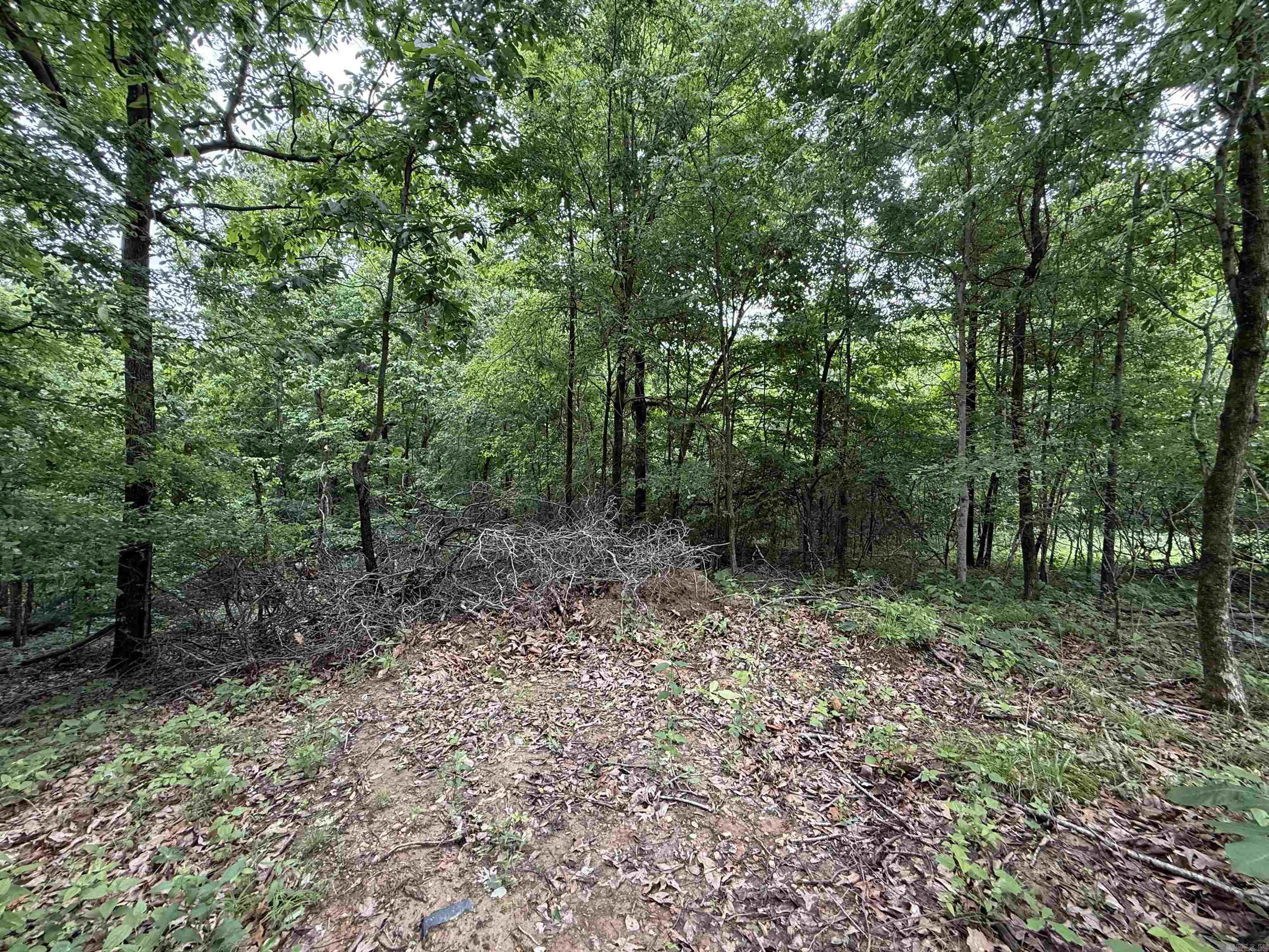 Not in Subdivision - Land