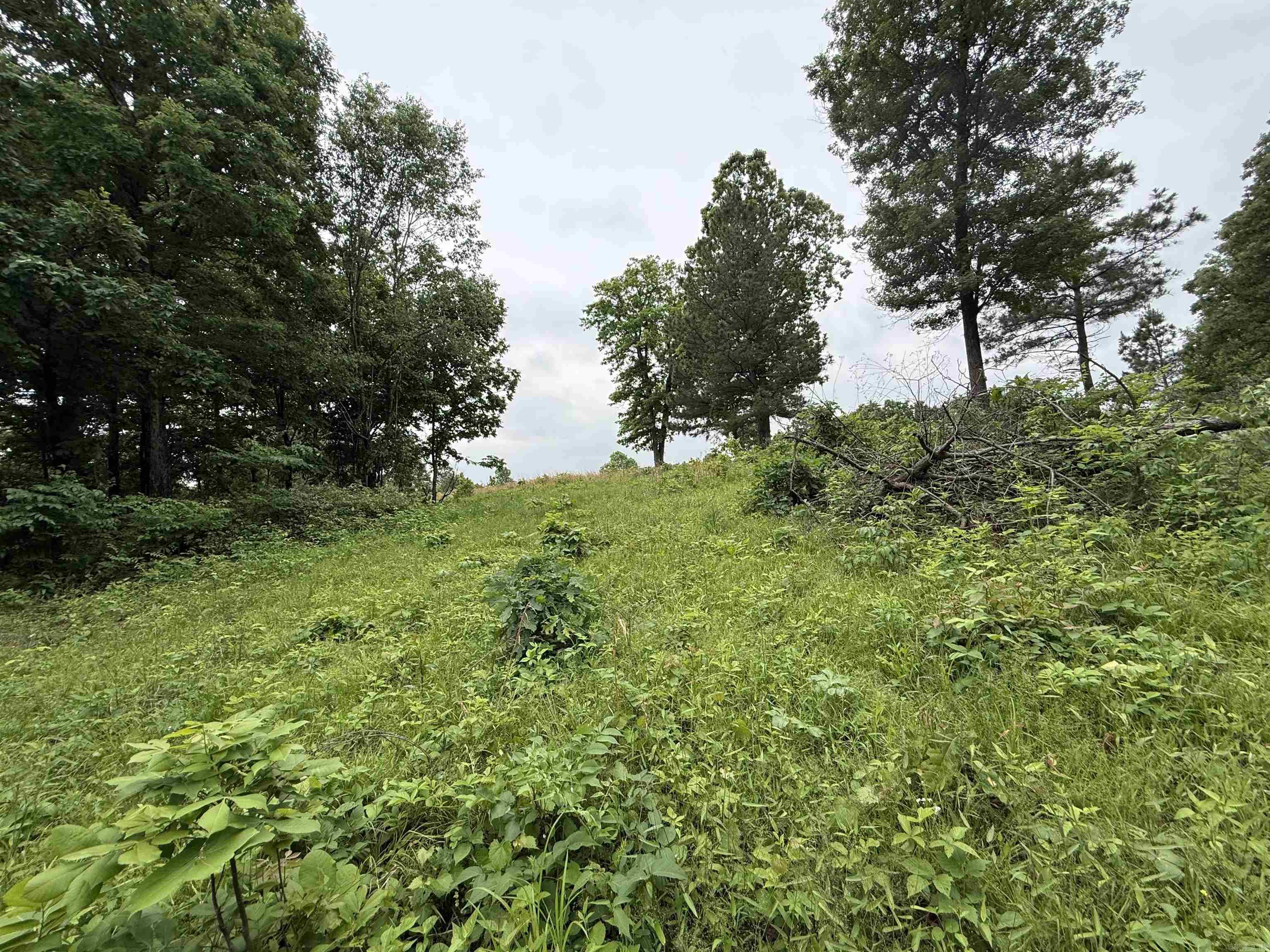 Not in Subdivision - Land