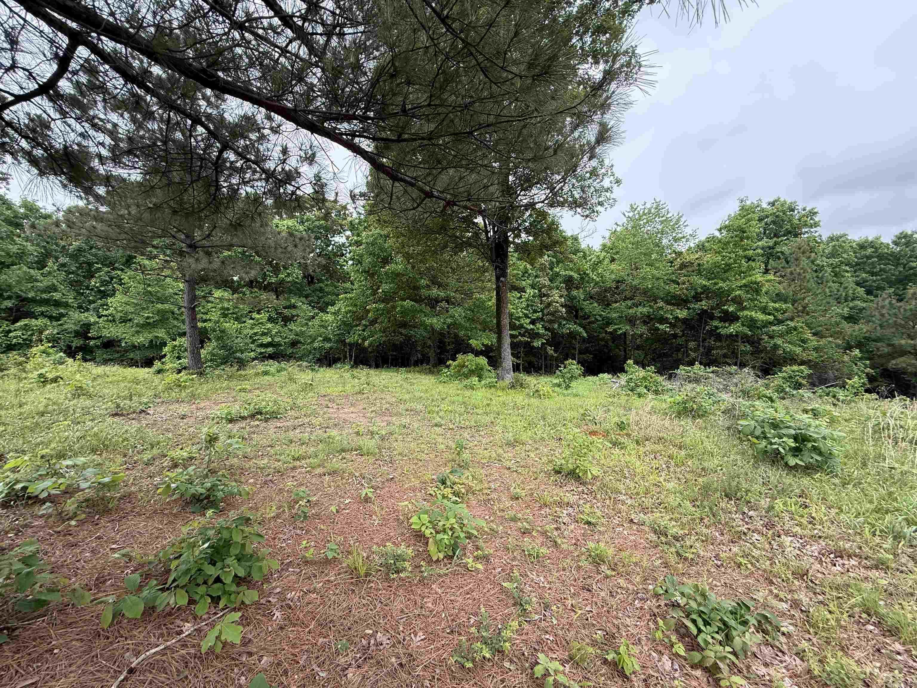 Not in Subdivision - Land