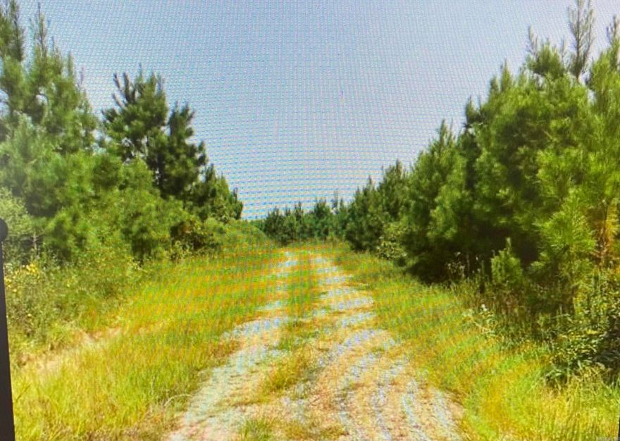 Great timberland or enjoy your favorite hunting.