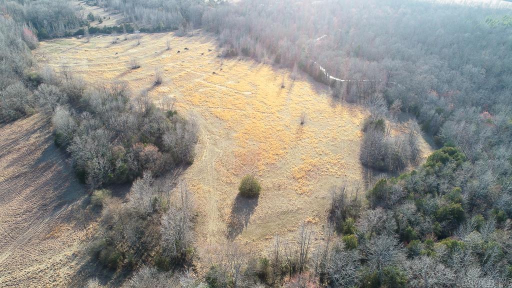 *OWNER FINANCING AVAILABLE* Contact listing firm for details! Discover the perfect blend of open pasture and natural timber on this 30-acre property in Faulkner County, located within the desirable Guy School District. Currently used for cattle, this versatile land is well-suited for a private family homestead or recreational retreat. Approximately half of the acreage is cleared, providing ample space for livestock, gardening, or future improvements, while the remaining half features mature timber. Mill Creek flows along the northern portion, attracting abundant wildlife, including deer, turkey, and foxāideal for nature lovers and hunting enthusiasts. Property access is via a filed easement off Wildcat Hollow. Water is available at South Bolden Road, and electric service runs along Wildcat Hollow, making future development convenient. The property lines will be fully fenced before closing. With no restrictions other than no subdividing, you have the freedom to create your dream rural escape. Donāt miss this rare opportunity to own a piece of the countryside with endless potential. Call today for more details!
