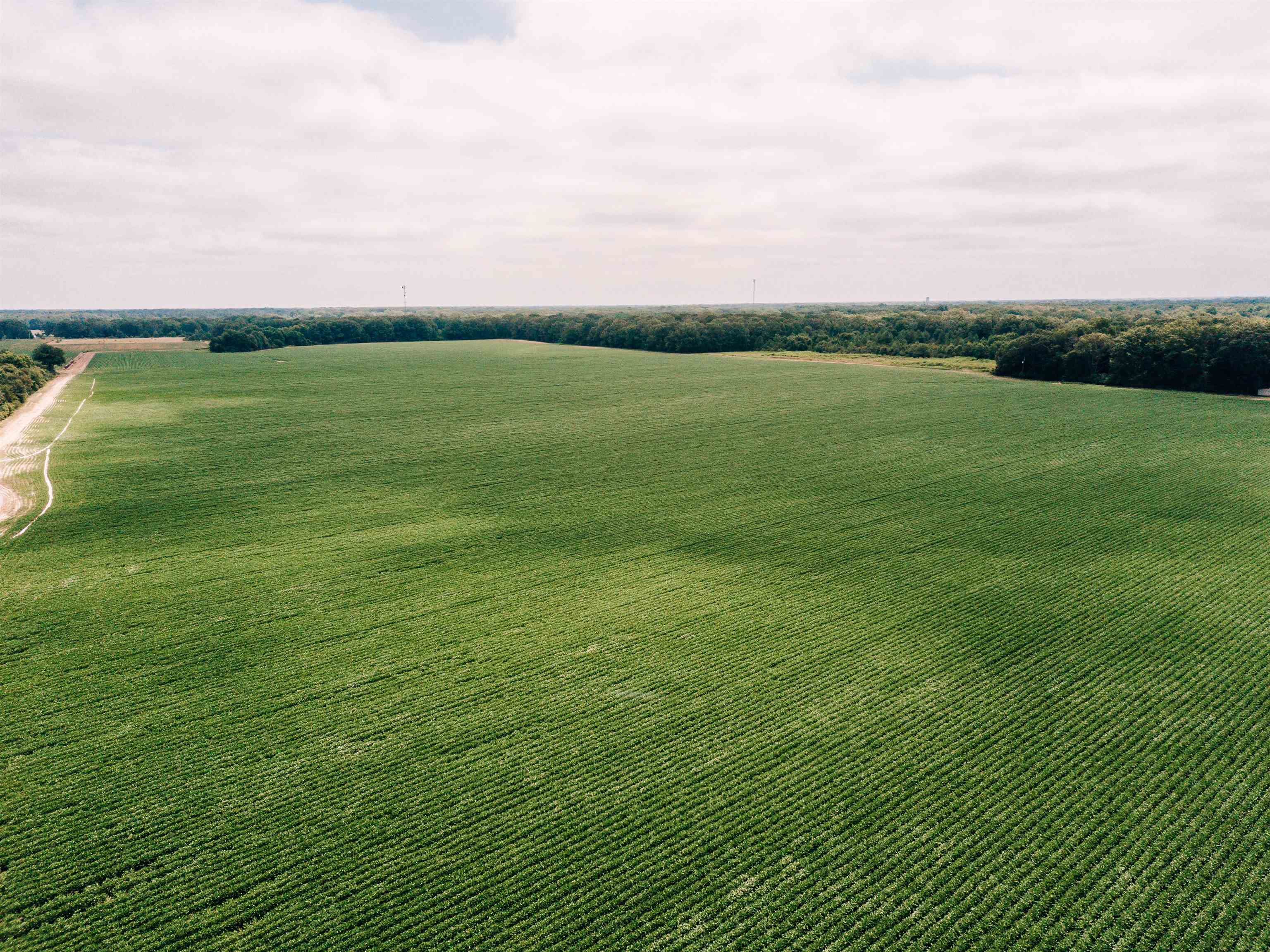 Not in Subdivision - Farm