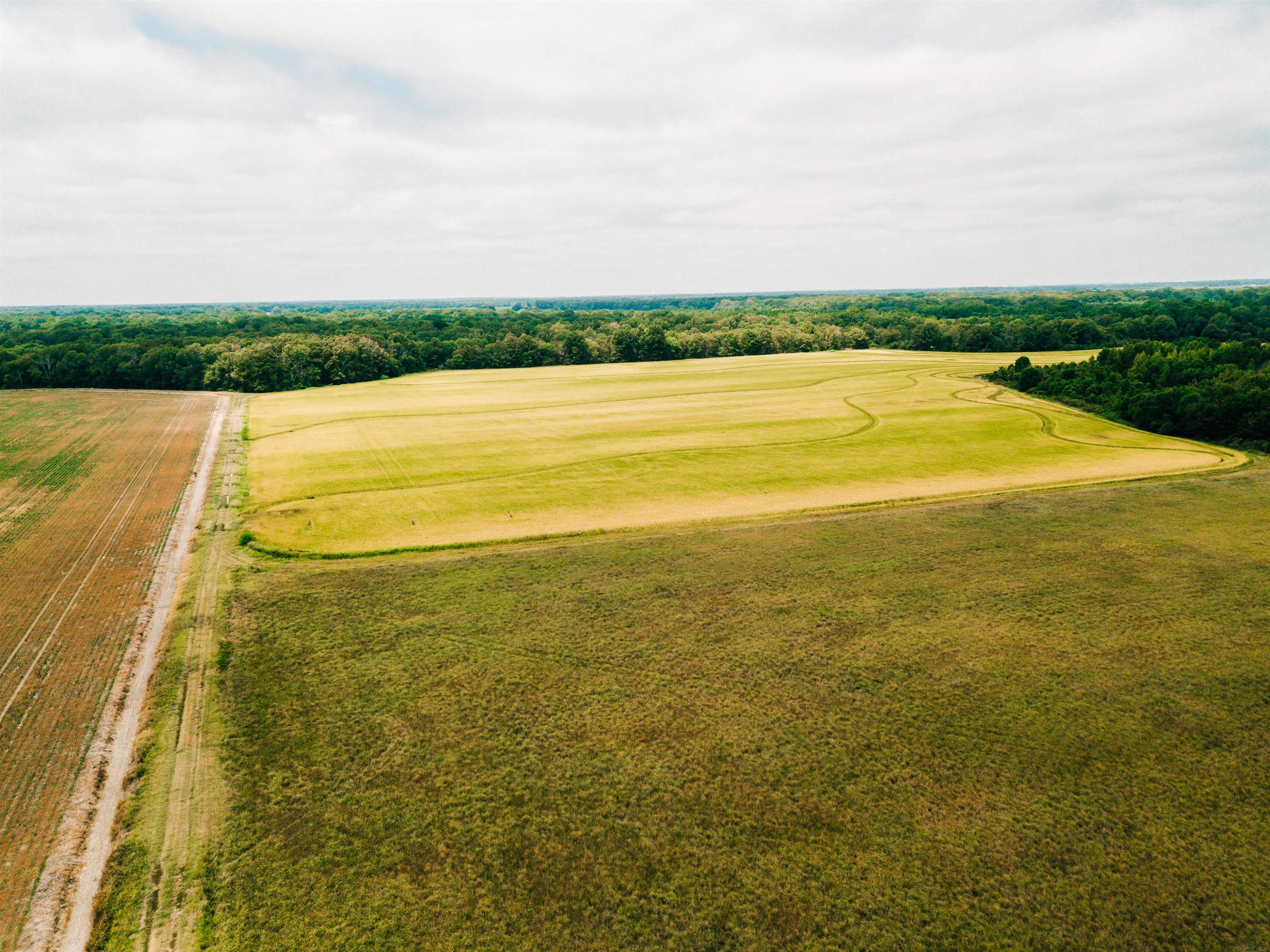 Not in Subdivision - Farm