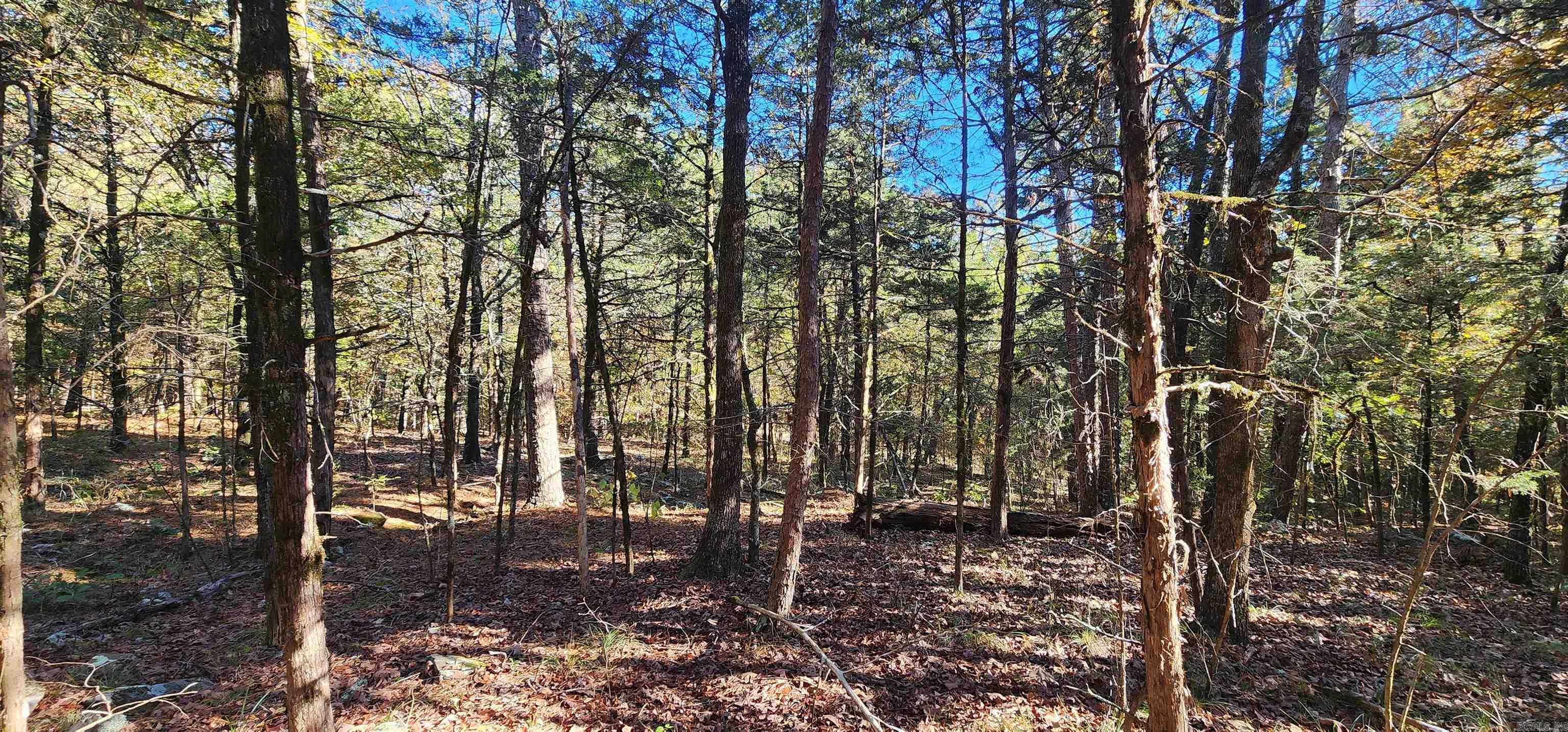 Wildwood Acres - Land