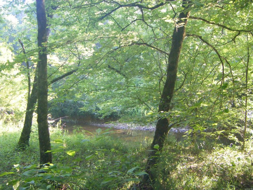 Looking for that ONE of a KIND....SPECIAL PROPERTY! This 15.81 Acres could be it! 2 or 3 GORGEOUS spots to build a house! BEAUTIFUL BLUFF with Rocks! HUGE OAKS & some Pine trees. DeGray Creek runs throughout the property, with some water almost year round. Great swimming hole to take the dogs and explore. Did I mention DEER! Yes, lots of deer and wildlife. This could be your next private hunting paradise! The pictures do not do it justice! Call today, come take a look!