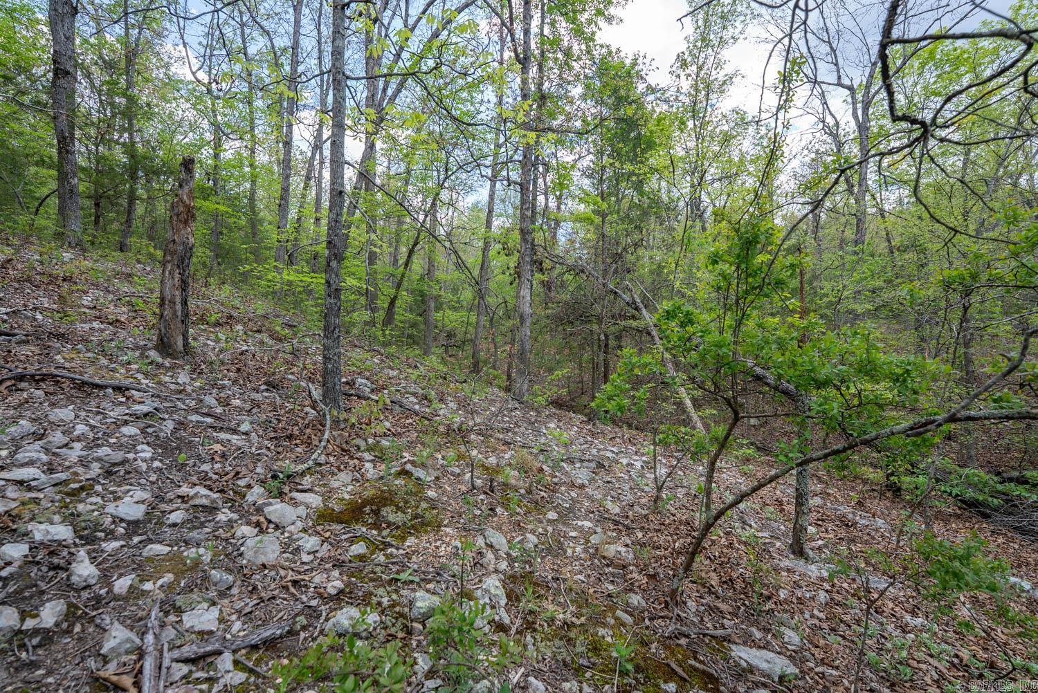 Holiday Hills Estates - Land