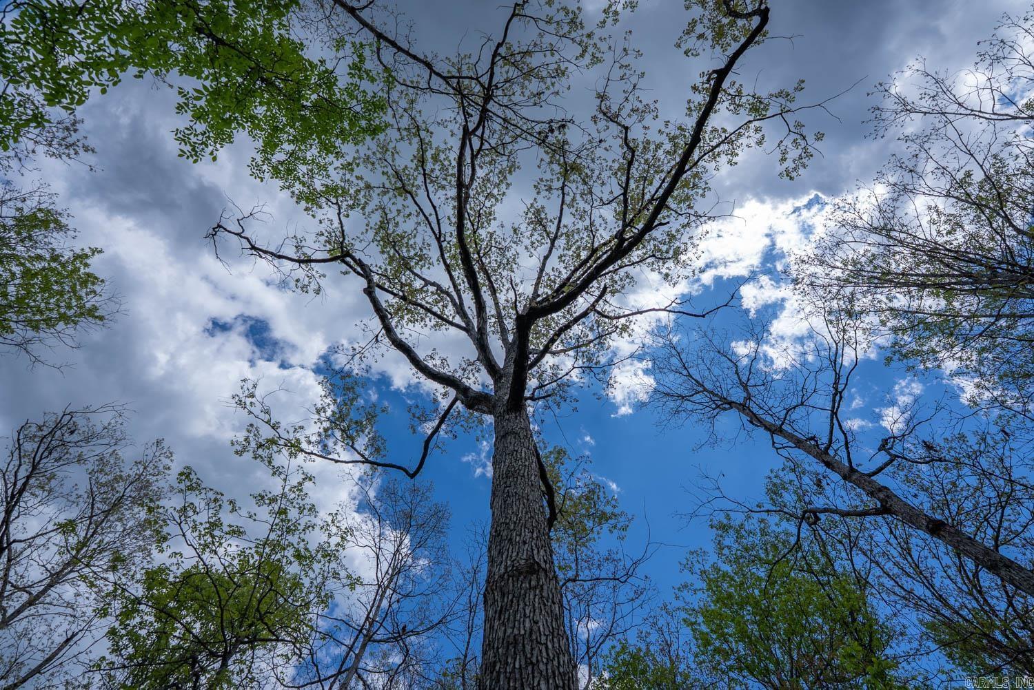 Holiday Hills Estates - Land