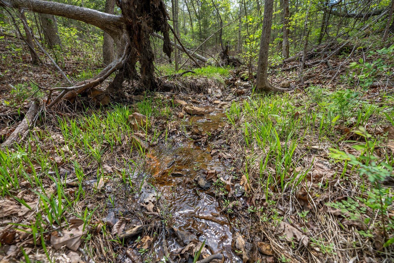 Holiday Hills Estates - Land