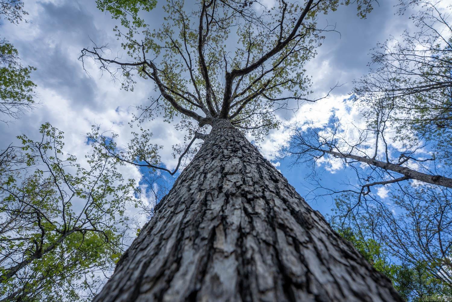 Holiday Hills Estates - Land