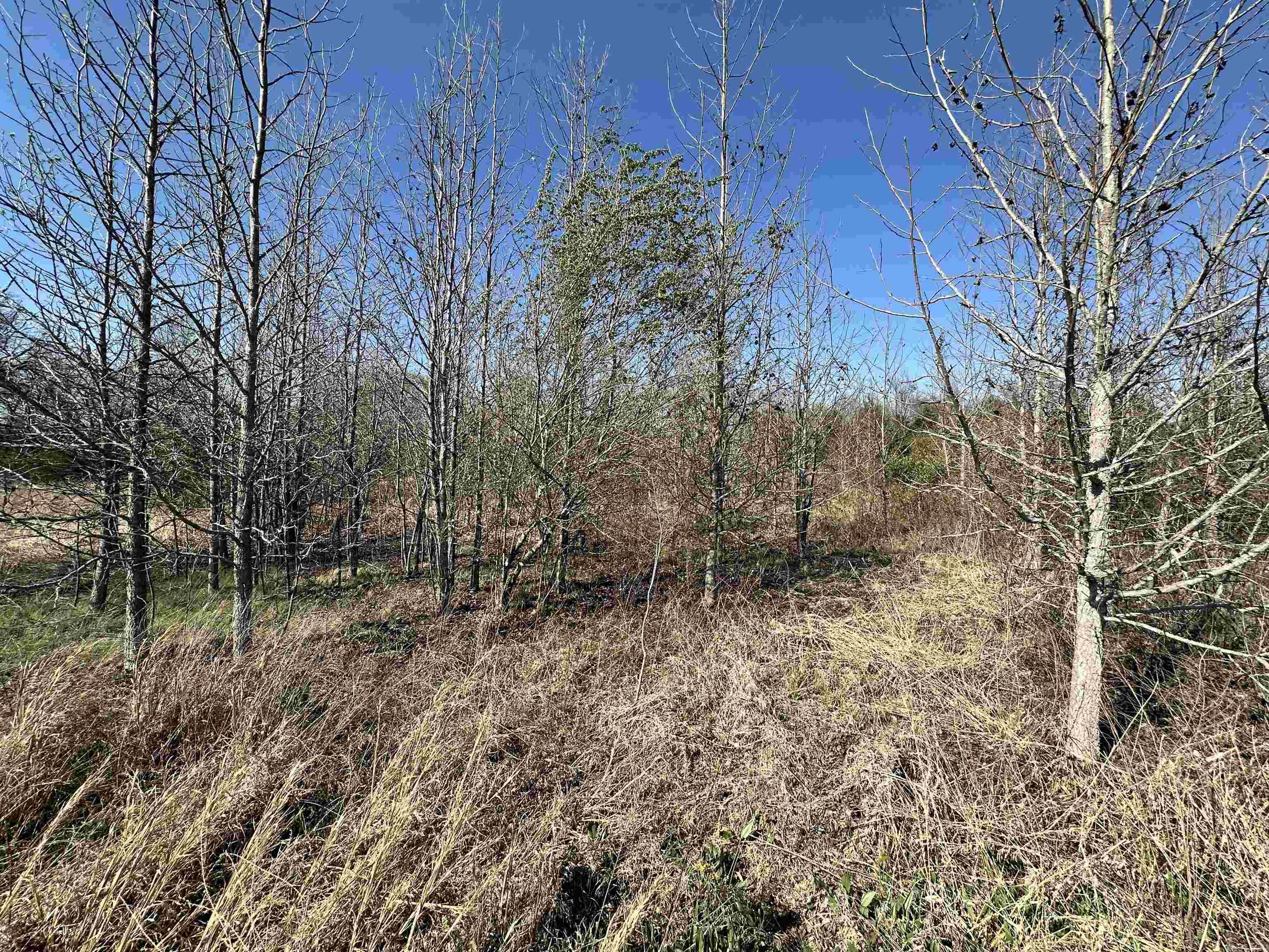 ALLEN MOUNTAIN ESTATES - Residential