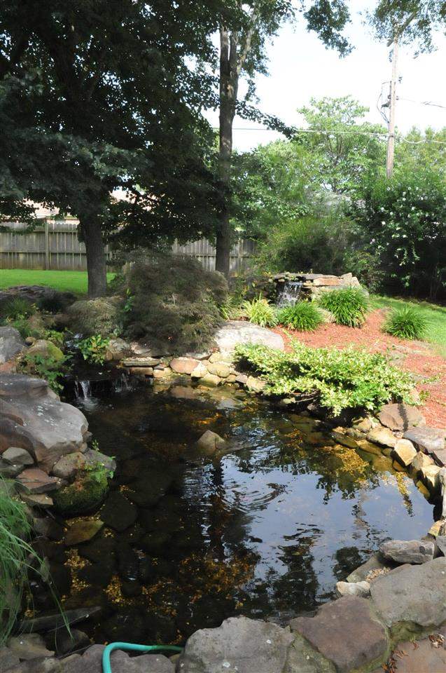 CEDARIDGE - Residential