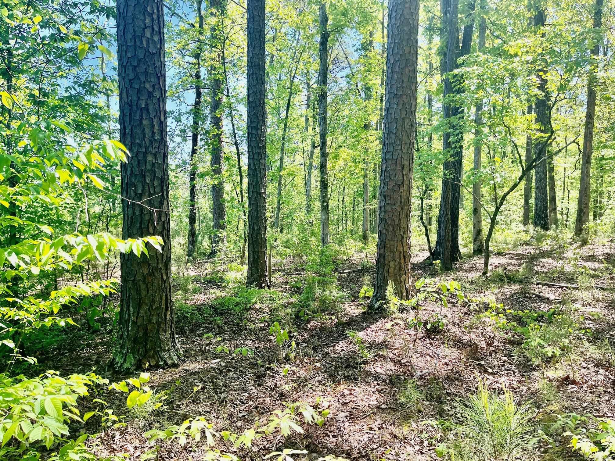 Hot Spring Acres - Land