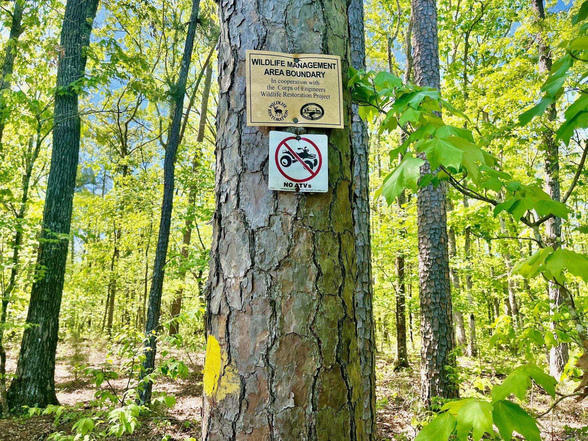 Hot Spring Acres - Land