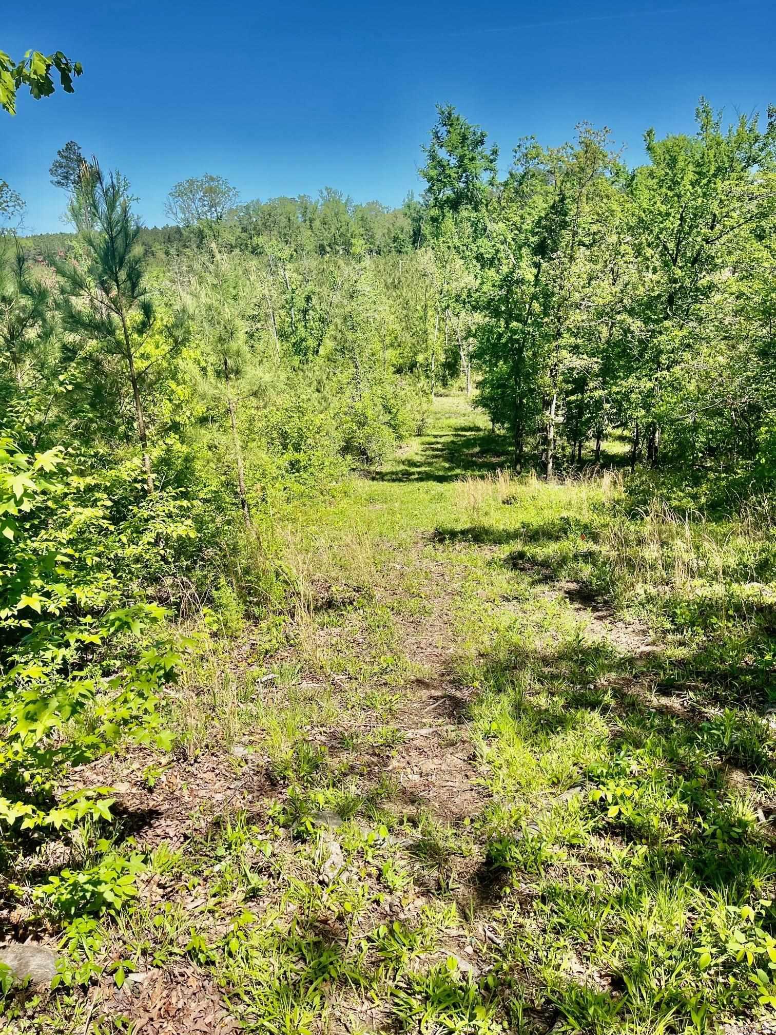 Hot Spring Acres - Land