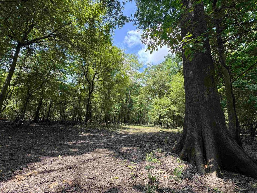 Properties along the Cache River have been very few and far between for many years and this offering is not a random piece that will leave you wondering if mallards will come through the trees the way you have always dreamed. This 489.48 surveyed acre tract is located off of Highway 70 just West of Brinkley in the absolute center of the Arkansas waterfowl flyway. There is a 50' easement that leads you to a gravel parking lot at the NW corner where you can launch a boat using the existing gravel launch and boat ditch or take off on a side by side utilizing the interior road system. It is already setup with 3 wells (2 electric and 1 turbine) along with all the infrastucture needed to flood the woods and fields. It is not often that I have been able to hunt the tracts I am selling, but this is one very fortunate case where I know how good the hunting is because I have lived "the good ol days" on this property in years past. I will never forget the first time I was on it and flushed a huge raft of mallards on the southern end of the timber thinking "well that was cool, but there they all went" just for the same thing to happen two more times as we rode through the woods.