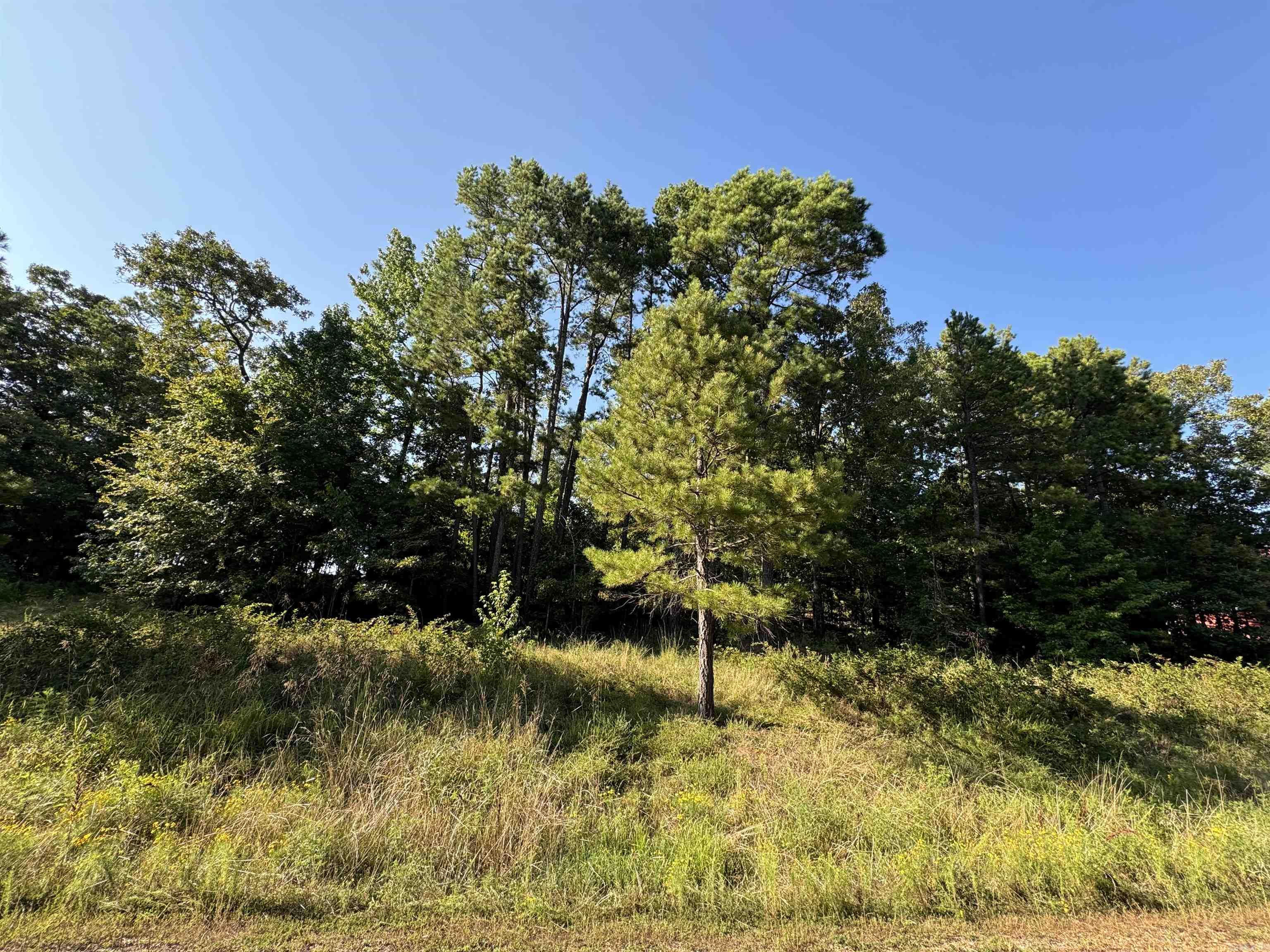Primrose Creek Sayles - Land