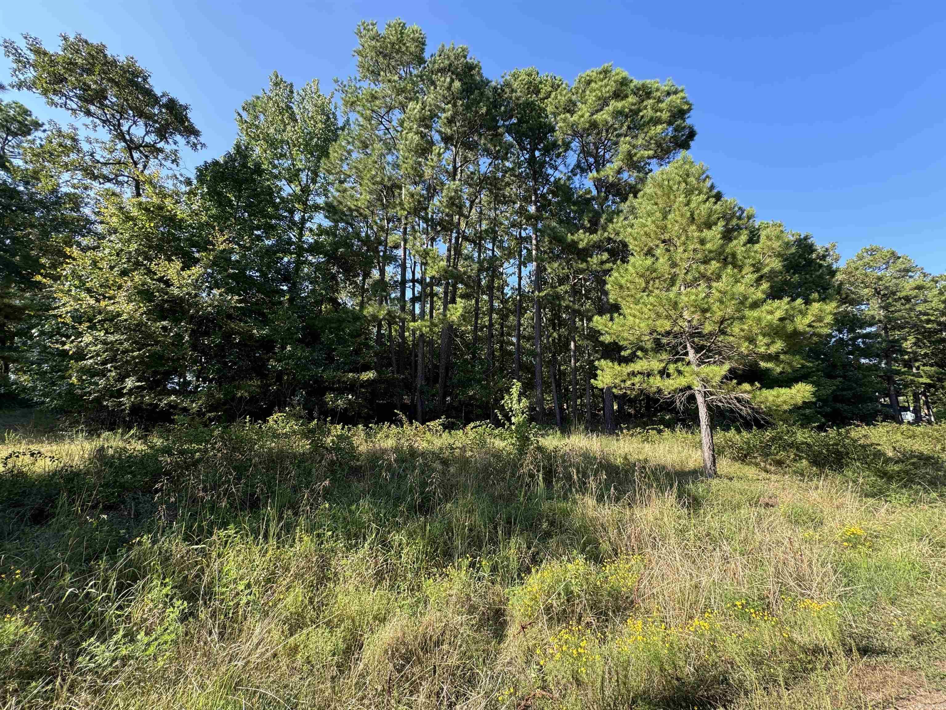 Are you dreaming of retreating to the beautiful Little Red River? This picturesque land is the perfect place to build your cozy dream home. Escape the hustle and enjoy a quiet community that offers a private community pool, boat ramp and dock on the Little Red River and minutes away from Greers Ferry Lake! This gated community offers modern amenities, access to hiking trails, boating, swimming and world-record trout fishing. Access to all the Natural State has to offer is only an offer away. Let us make your dream a reality!
