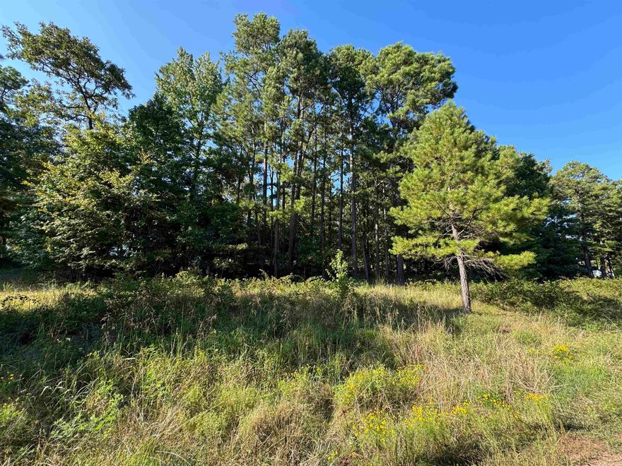 Are you dreaming of retreating to the beautiful Little Red River? This picturesque land is the perfect place to build your cozy dream home. Escape the hustle and enjoy a quiet community that offers a private community pool, boat ramp and dock on the Little Red River and minutes away from Greers Ferry Lake! This gated community offers modern amenities, access to hiking trails, boating, swimming and world-record trout fishing. Access to all the Natural State has to offer is only an offer away. Let us make your dream a reality!