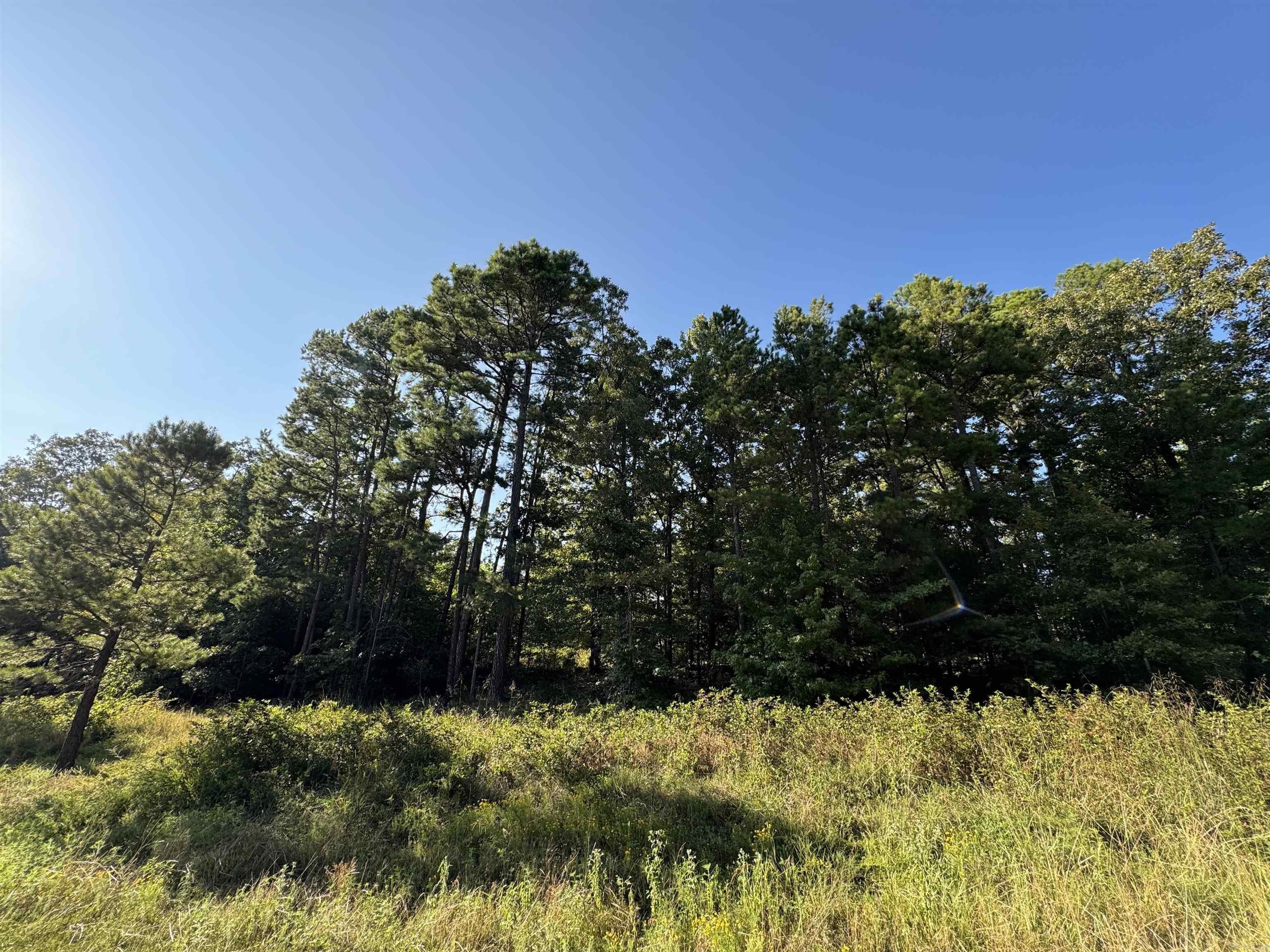 Primrose Creek Sayles - Land