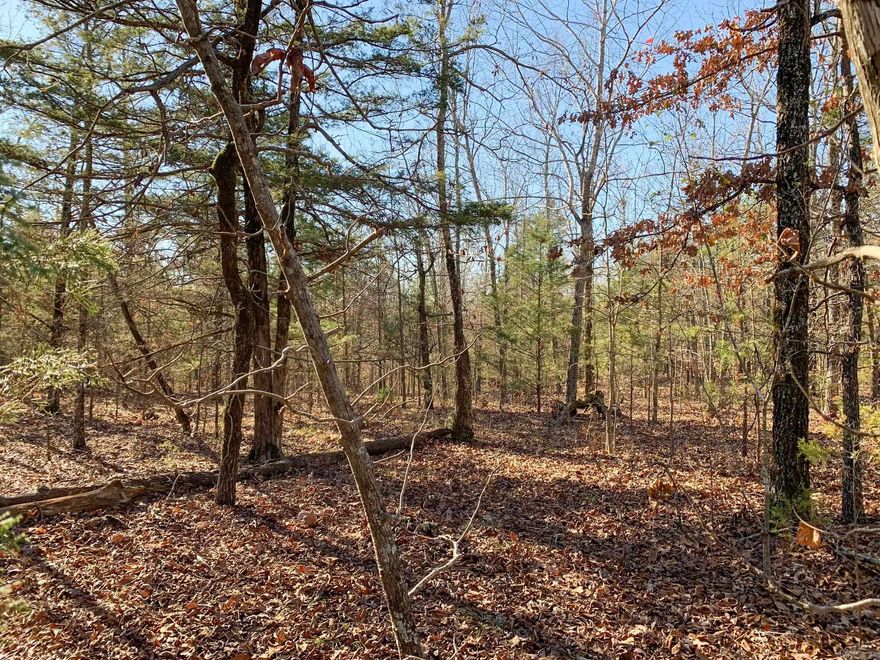 This 13.45-acre tract of woods offers exceptional peace and seclusion. There is a good mix of evergreen and hardwood trees, with an abundance of wildlife throughout. Gently rolling landscape. Good location, on a quiet dead-end road, but within 20 minutes of Choctaw Marina on Greers Ferry Lake and only an hour from Grinder's Ferry on the Buffalo National River. Electric and water is at the road. Can be purchased with an adjoining 25-acre tract, if still available, for a total of approximately 40 acres.