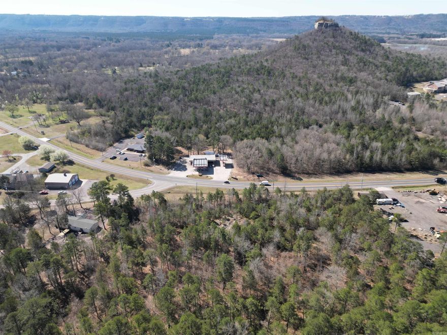 Prime location on Wilburn Road and close to the Little Red River. These two parcels have over 500ft of Highway frontage and over 4 acres. The possibilities are endless, call today!
