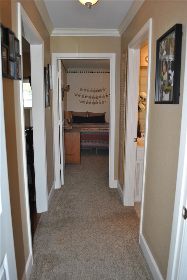 Magness Creek - Residential