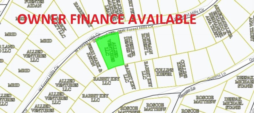 Owner-finance or cash. Area has water tap-in available, septic needed, propane needed, power available and great area amenities. Great for cabins & Airbnb investors. Simple owner-finance terms. Owner/Agent. Discount for purchasing 10 or more lots.  Parcel# 800-04536-000