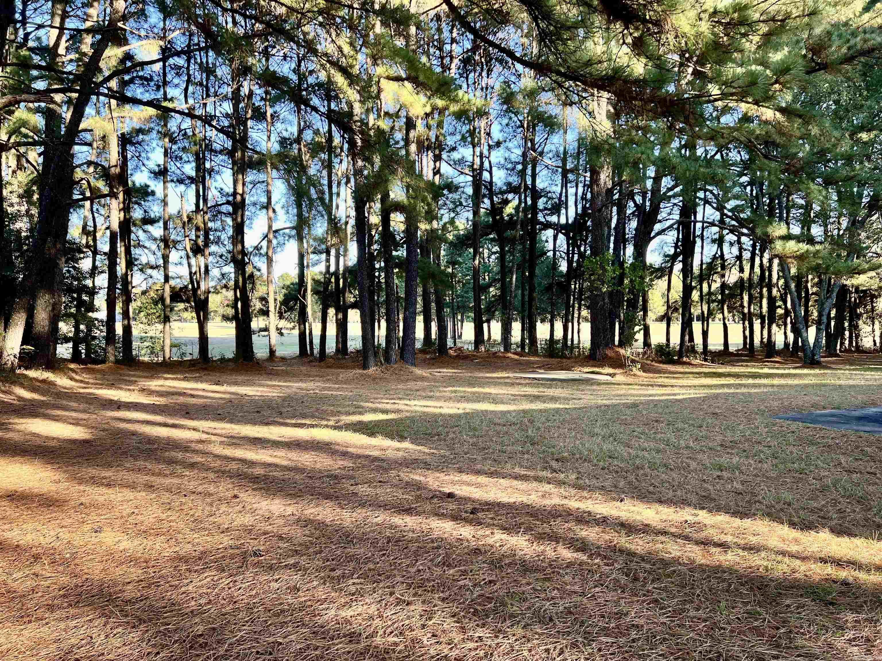 ROSE BUD OUTLOTS - Residential