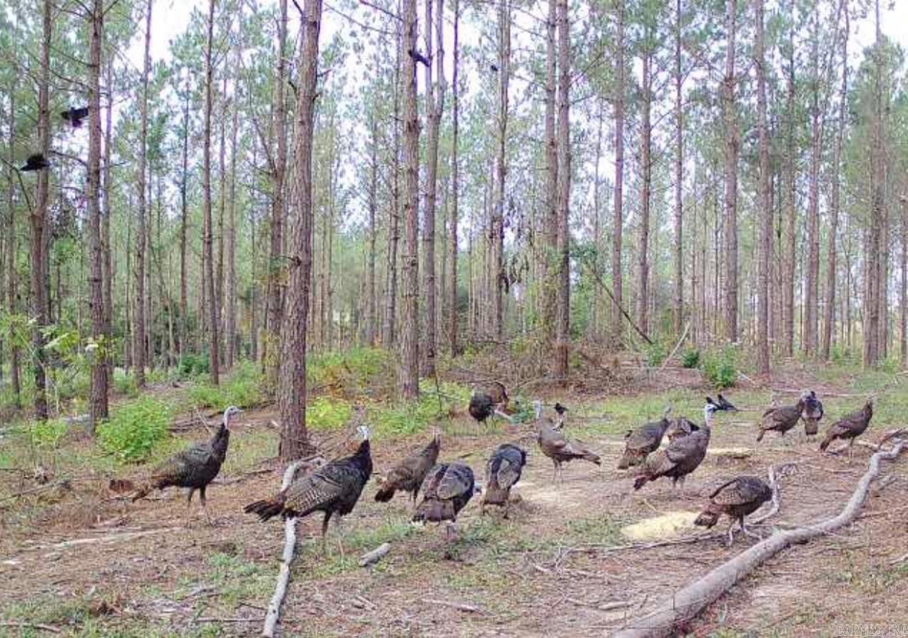 Not in Subdivision - Land