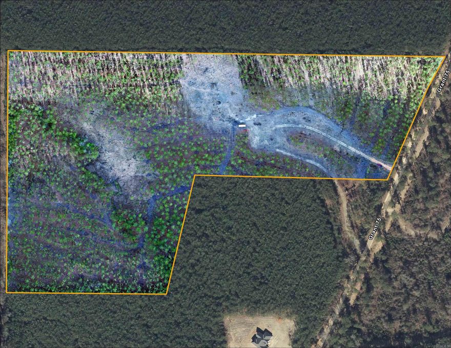 Looking to build in a great school district? Here you go! This beautiful 30 acre tract is now available and is a perfect spot for your new home or homes! Seller has a spot cleared for a pond, and the property has a culvert, driveway, and power onsite. This property offers privacy and country living- not far from access in town to any essentials you need. Deer, turkey, and more can be found roaming around! Give us a call today for more information and to schedule your appointment to see this in person. Agents see remarks.