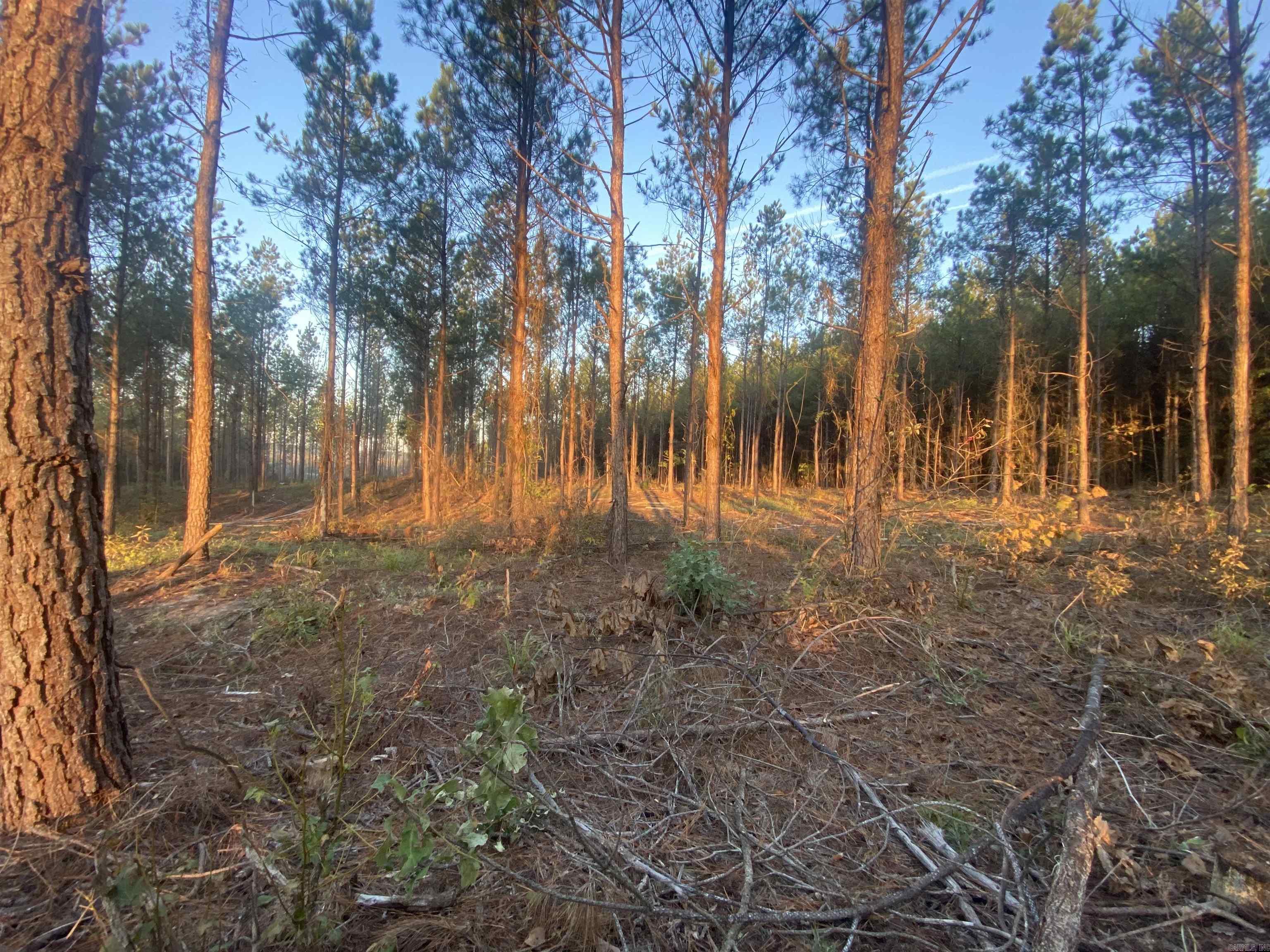 Not in Subdivision - Land