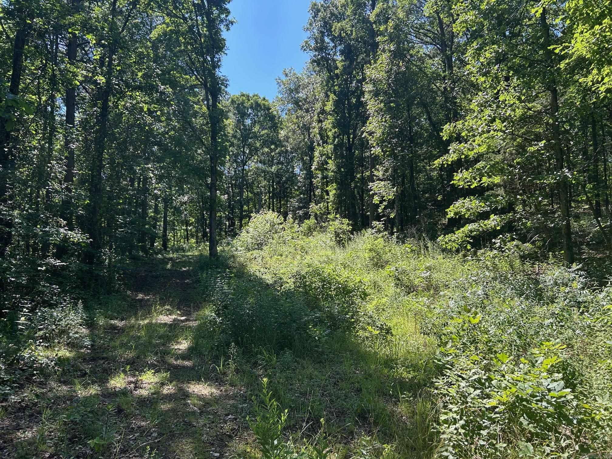 Looking for a place to slow down and spread out? Check out this beautiful 5.02-acre tract located just 10 minutes from downtown Clinton, Arkansas in the heart of the Ozark Mountains! This property offers total freedom with NO restrictions—perfect for your RV, mobile home, manufactured home, or custom-built dream home. With power already on site and water available, you're ready to get started. Situated at the end of the road, this land provides great access while maintaining peace and privacy. The acreage is all wooded, offering shade, seclusion, and a true connection to nature. Wildlife is abundant—watch deer, turkey, and more right from your front porch. Whether you're ready to start your homestead, build a weekend retreat, or just escape the hustle and bustle, this is your chance to own a piece of classic country slow time living.
