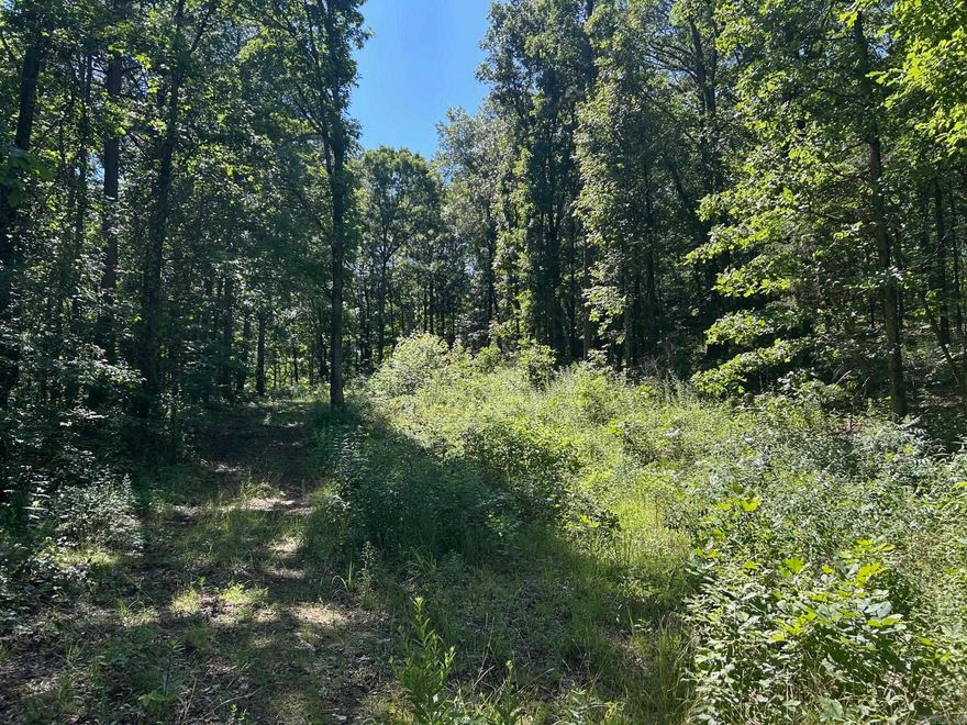 Looking for a place to slow down and spread out? Check out this beautiful 5.02-acre tract located just 10 minutes from downtown Clinton, Arkansas in the heart of the Ozark Mountains!  This property offers total freedom with NO restrictions—perfect for your RV, mobile home, manufactured home, or custom-built dream home. With power already on site and water available, you're ready to get started.  Situated at the end of the road, this land provides great access while maintaining peace and privacy. The acreage is all wooded, offering shade, seclusion, and a true connection to nature. Wildlife is abundant—watch deer, turkey, and more right from your front porch.  Whether you're ready to start your homestead, build a weekend retreat, or just escape the hustle and bustle, this is your chance to own a piece of classic country slow time living.
