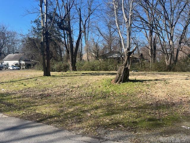 North Argenta - Land