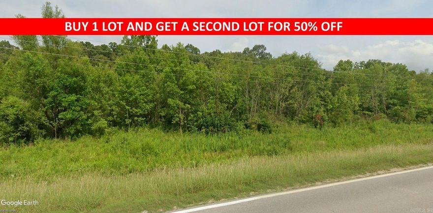 Buy one lot and get 50% off an additional lot! Owner-finance for easy terms. Cash buyers can pay by debit or credit card as well. Nice lot to develop or hold for future value. Public water and electric are available to run to property and will need septic. Owner/agent. No mobiles allowed. 300-2500 minimum build size on any other type of home, depending on subdivision. Finance is 5 months at $194 and closing costs are included. Lots marked with red banner are part of promotion. No limit on lots. Buyer responsible for any/all taxes and lots sold "as-is". Quit claim deed conveys. Parcel ID# 405-21442-000