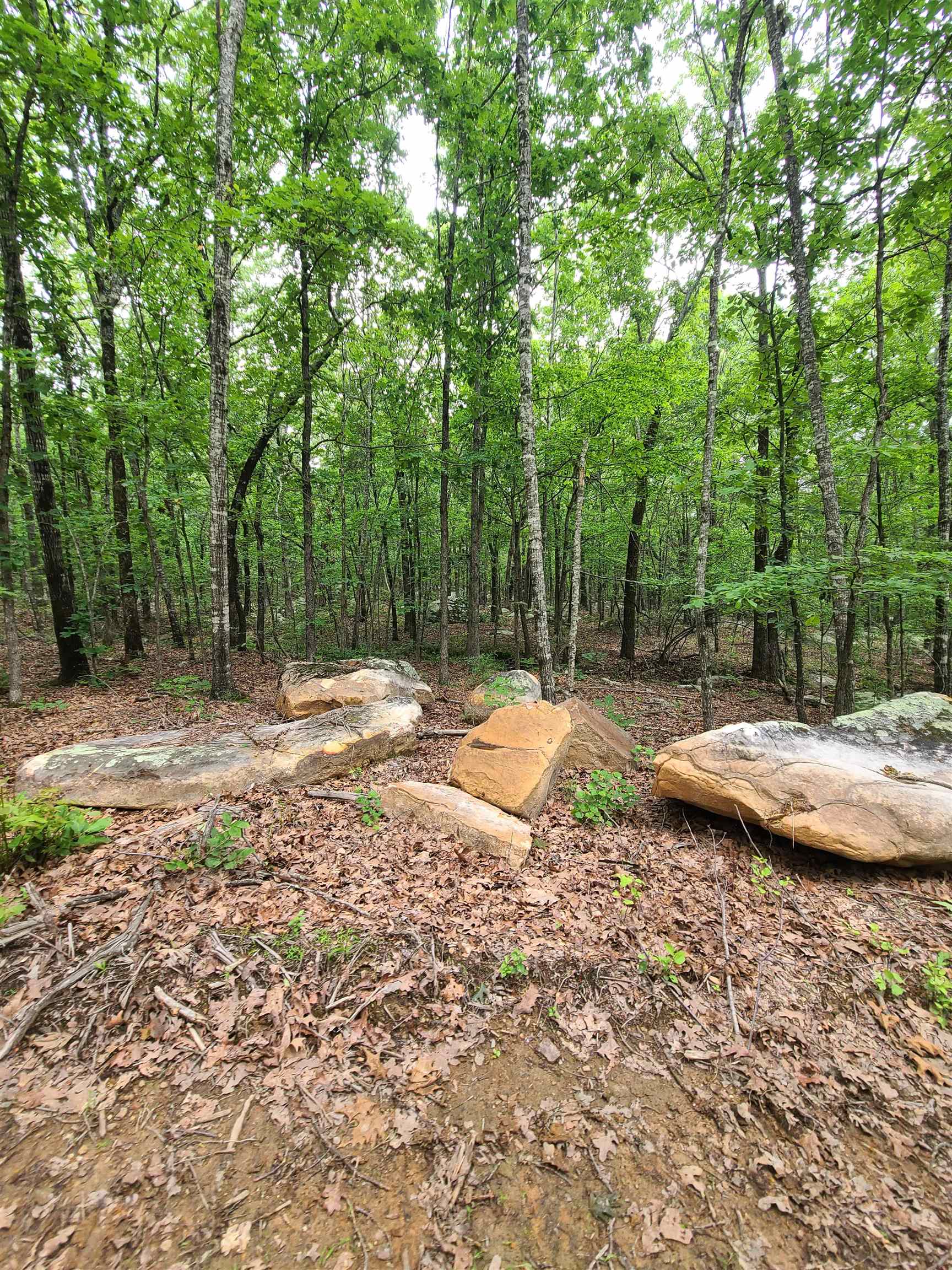 Metes & Bounds - Land