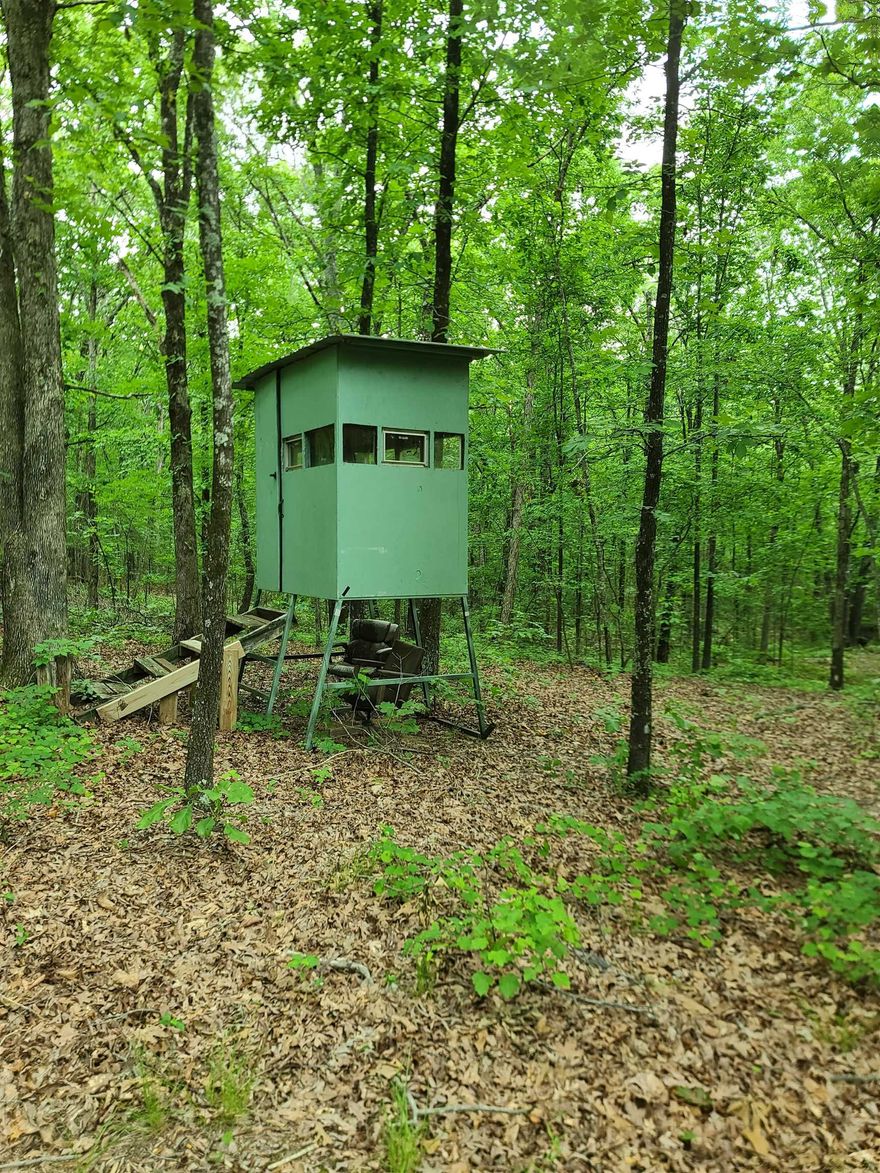 Turkey Hill is a remarkable property located just off Highway 367, north of the Possum Grape Community.  This property boasts a robust oak stand and an excellent internal road system. It also features a spacious building pad equipped with electrical access and a septic system, perfect for a future home or RV.  Whether you're looking for a prime hunting tract or a serene homestead, Turkey Hill offers an ideal fit.