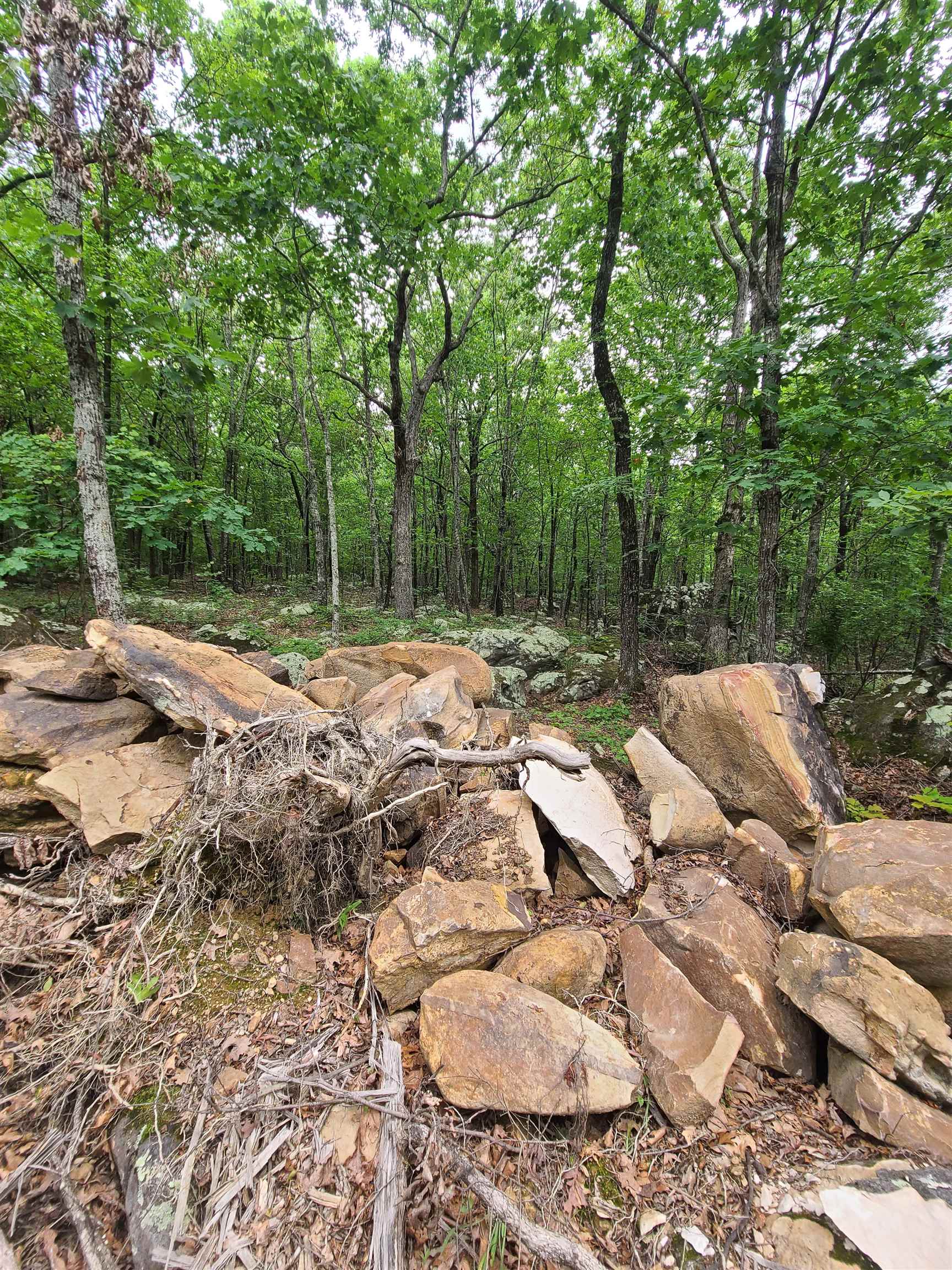 Metes & Bounds - Land