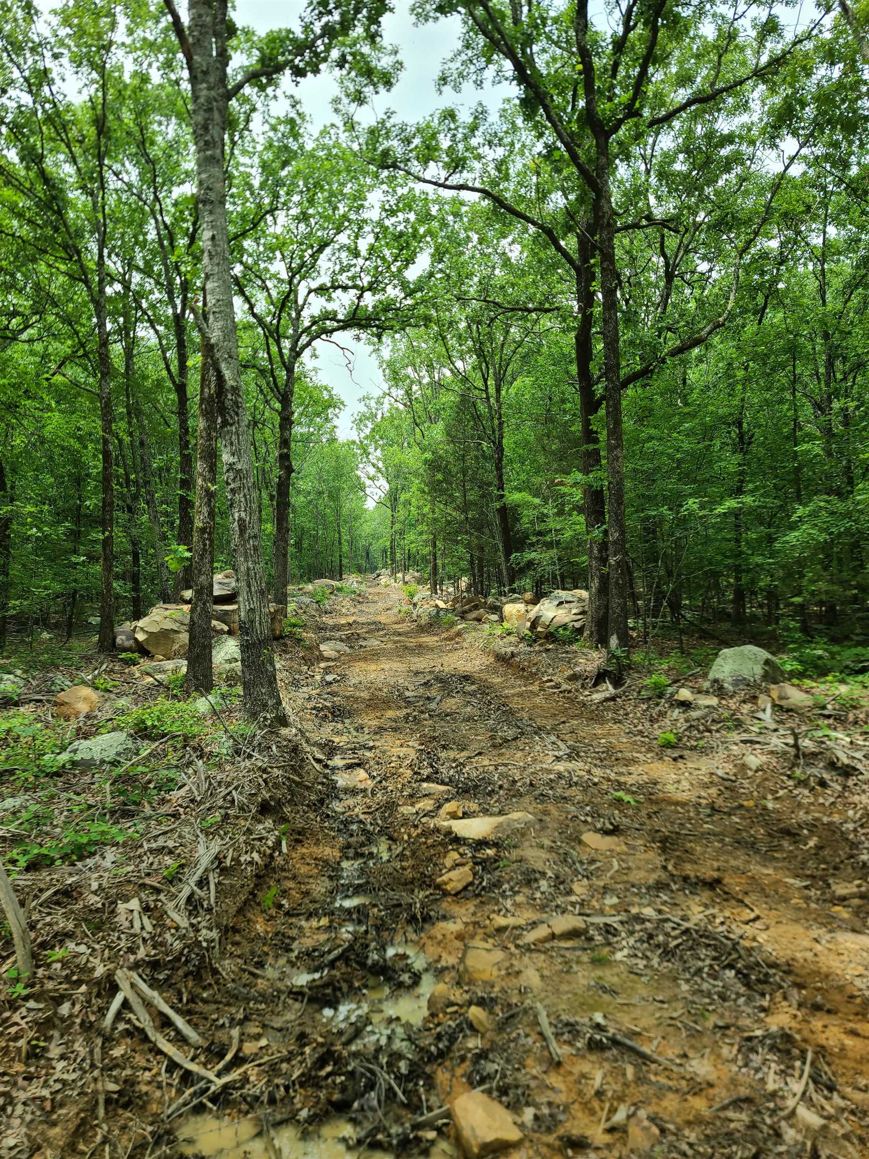 Metes & Bounds - Land