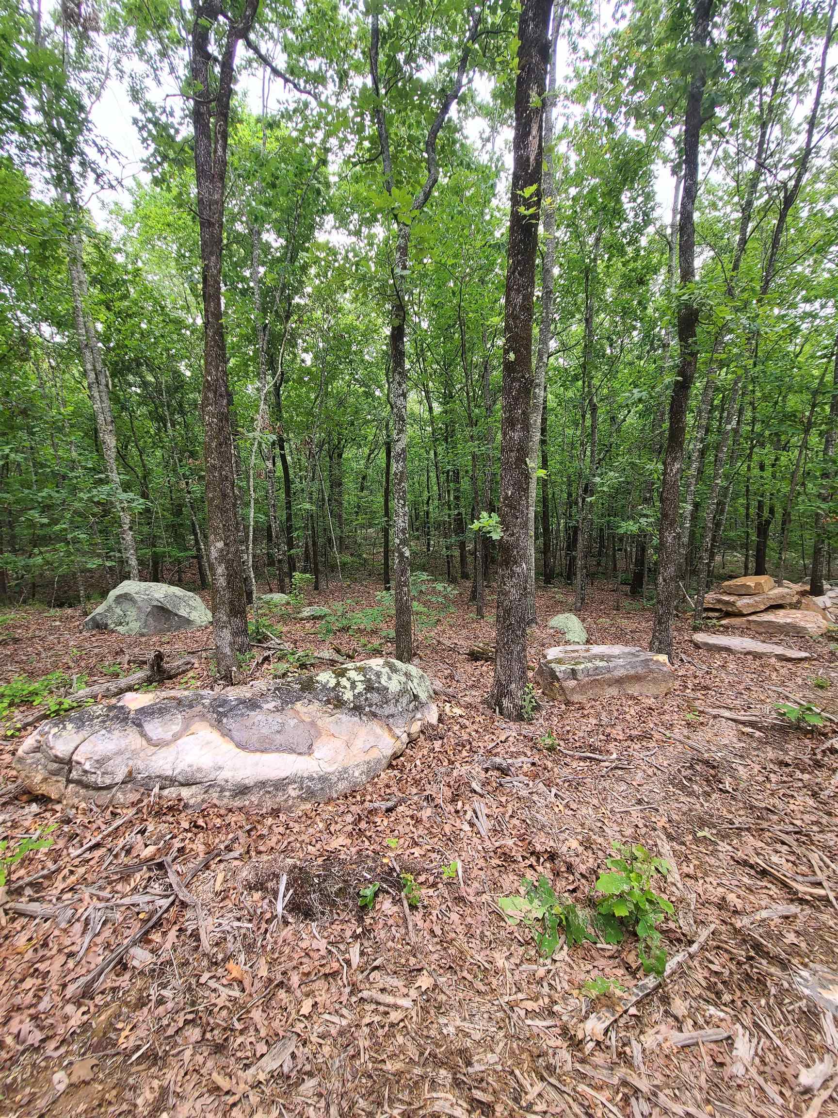 Metes & Bounds - Land